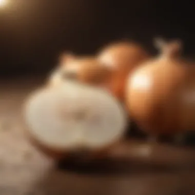 Symptoms of Onion Poisoning in Canines Symptoms of Onion Poisoning in Dogs