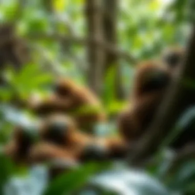 Sloths in Their Natural Habitat A vibrant rainforest scene with sloths in their natural habitat, interacting with the environment and other species.