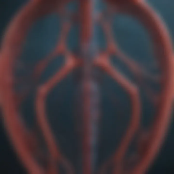 Infographic showcasing the circulatory system of a blue whale.