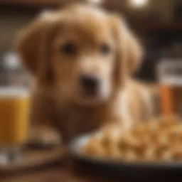 Nutritional chart showing essential components for golden retriever puppies