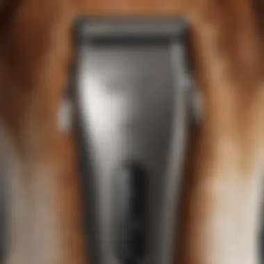 Close-up of Wahl clippers features