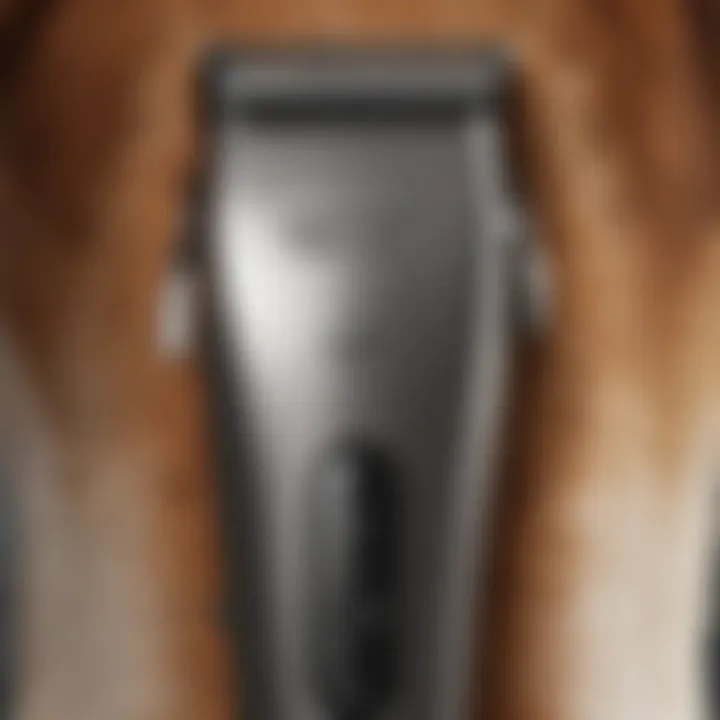 Close-up of Wahl clippers features
