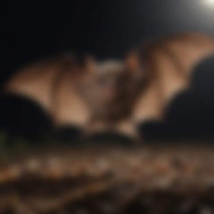 Close-up of a bat feeding on insects under moonlight