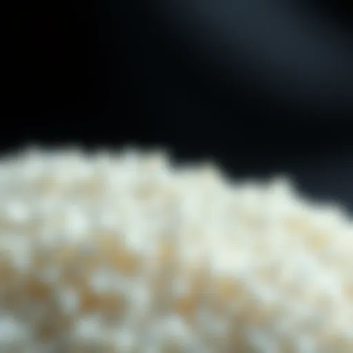 Close-up view of cornstarch granules highlighting its texture
