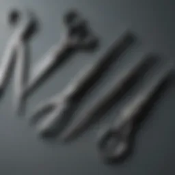 Different types of dog shears arranged neatly