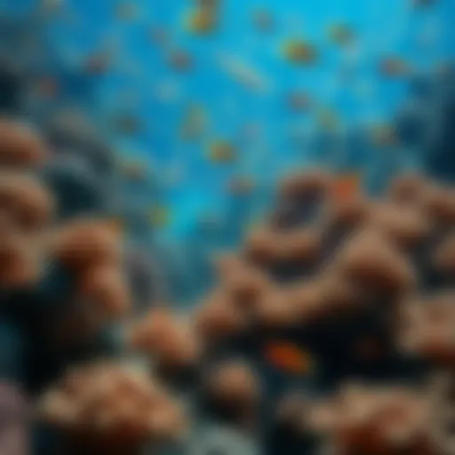 A vibrant coral reef teeming with diverse marine life