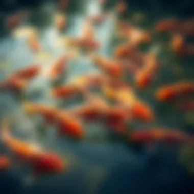 A serene pond teeming with fish that feed on mosquito larvae