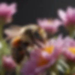 Close-up of a bee collecting pollen from a vibrant flower