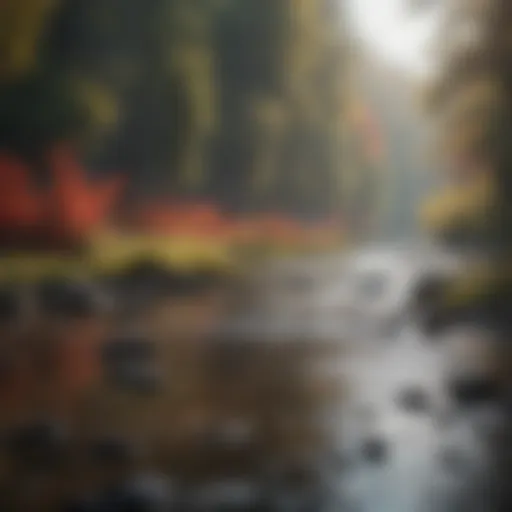 Tranquil River Scene in Little Red River