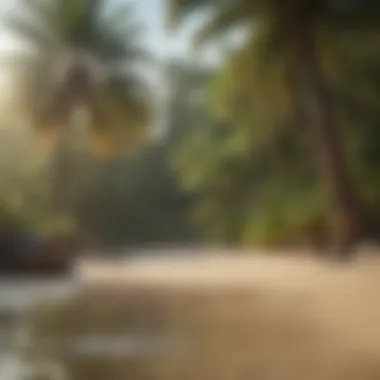 Exotic Oasis with Lush Palms Tropical Paradise Beach with Palm Trees