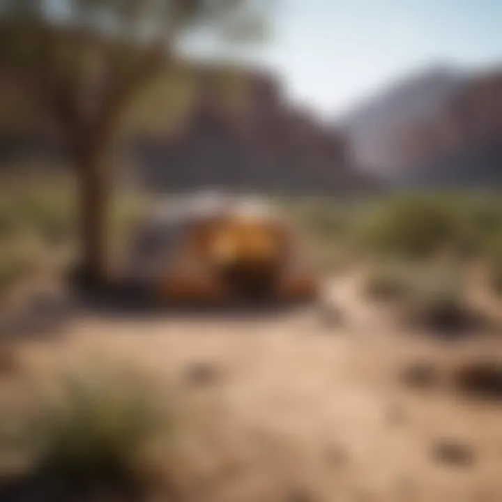 Desert Oasis Camping Campground nestled amidst desert flora