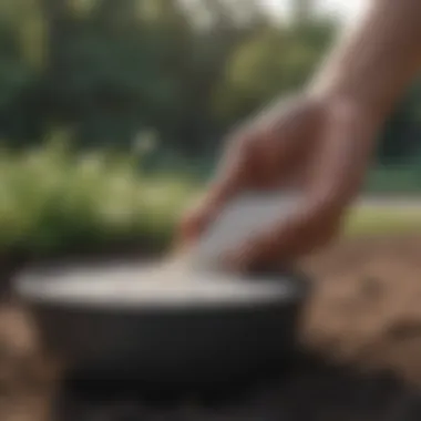 Hand holding a spreader distributing fertilizer evenly