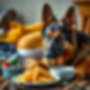 Quality Food Choices for German Shepherds A selection of high-quality dog food options for German Shepherds