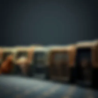 Various pet carriers lined up, showcasing different designs