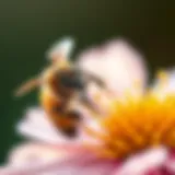The Interconnection of Bees and Flora Close-up of a bee on a flower