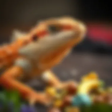 Healthy bearded dragon enjoying a nutrient-rich meal