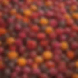 A diverse collection of exotic rose seeds showcasing their vibrant colors and unique shapes.