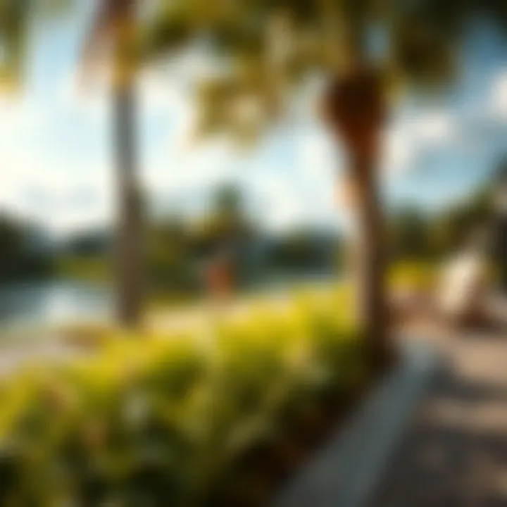 Scenic outdoor setting in Florida with no-see-um warning