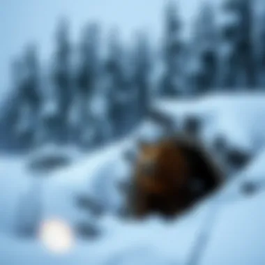 A serene winter landscape featuring a grizzly bear's den nestled among snow-covered trees.