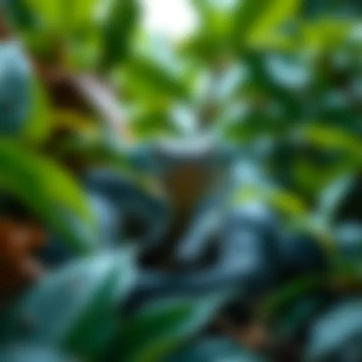 Pit viper in its natural habitat among Amazonian foliage