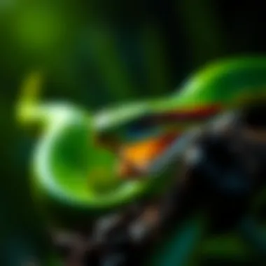 Illustration of pit viper interactions with other Amazon wildlife