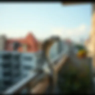 Urban balcony with plastic snake deterrent