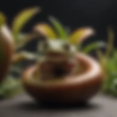 Visual Representation of Venus Fly Trap Cost Analysis Venus Fly Trap Cost Breakdown