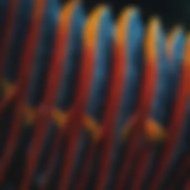 Fish gills with unique coloration