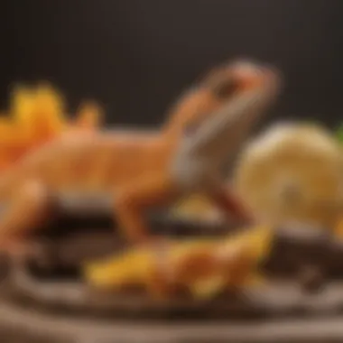 Vibrant Gecko Food Varieties