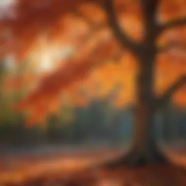 A vibrant Maple tree with fiery autumn leaves