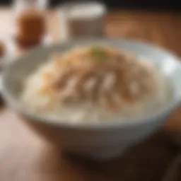 A bowl of plain white rice with shredded chicken, a bland diet for dogs.