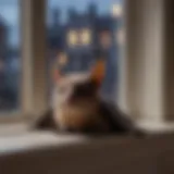 A serene indoor scene showcasing a bat resting on a window sill during dusk.