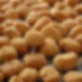 A mesmerizing close-up of whole life freeze-dried chicken nuggets