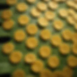 Close-up of yellow dots on plant leaf