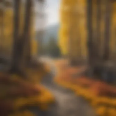 Autumn foliage in Yellowstone with colorful leaves and a scenic view